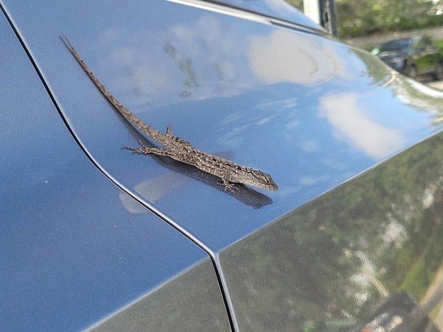 2025 Nissan Sentra SV CVT