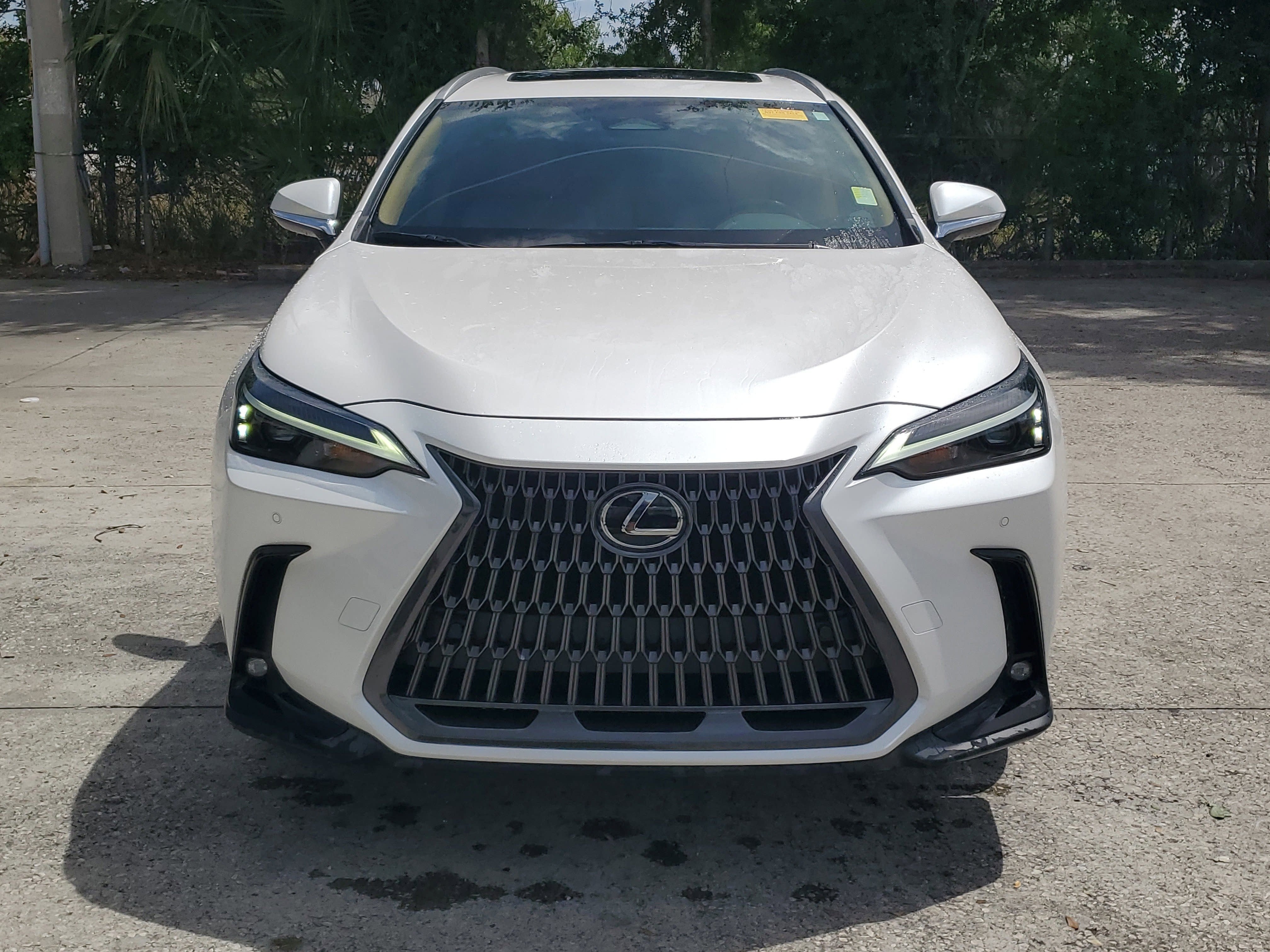 2025 Lexus NX NX 350 Premium